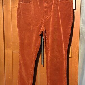 Anthropologie PILCRO HR Skinny Corduroy Brown Sz 34 Boho Preppy  Pants $168 NWT